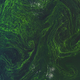 Illustration for article titled Get Lost in the Swirling Green Seas of a Massive Algae Bloom